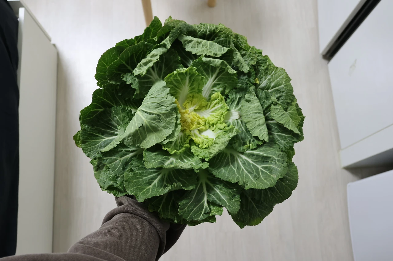 img.jpg?credential=yqXZFxpELC7KVnFOS48ylbz2pIh7yKj8&expires=1774969199&allow_ip=&allow_referer=&signature=Ib8mXYlVCThPKEqtgU19jKiVo0E%3D