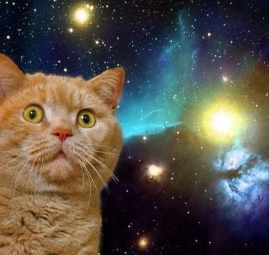 image.png?type=w1600