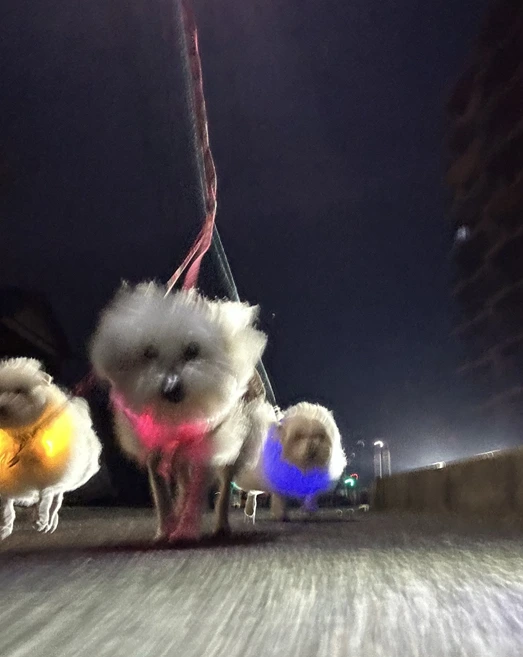 image.png?type=w1600