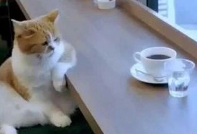 image.png?type=w1600