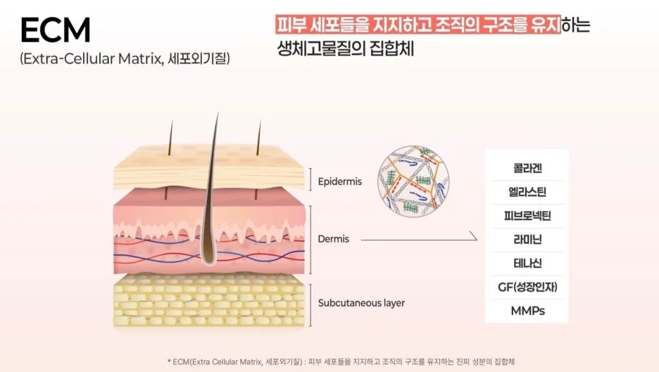KakaoTalk_20260312_150309225_01.jpg?type=w1