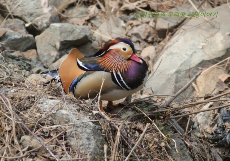 SE-17748d6f-1d3f-46ff-b4a0-90b8eedd5a4b.png?type=w773