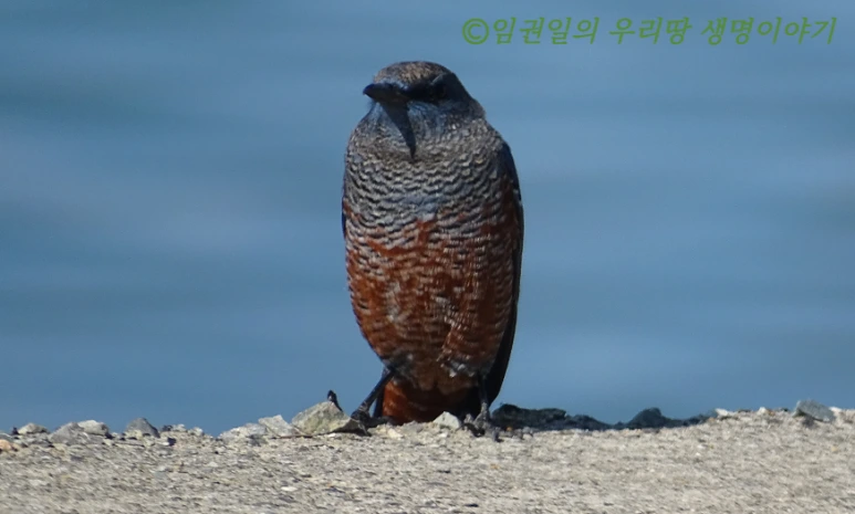 SE-2993b7c0-b09f-4f7a-bdc6-53e3f191ebf9.png?type=w773