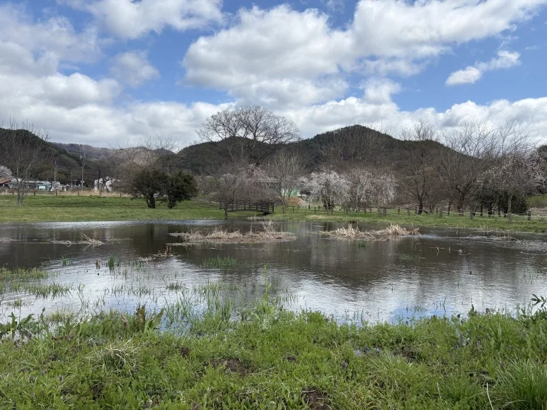 KakaoTalk_20260407_130721092.jpg?type=w773