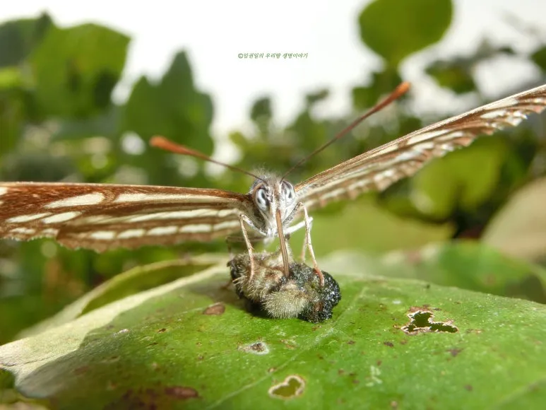 SE-551b707c-55bd-450e-8fee-ba5029934e23.jpg?type=w773