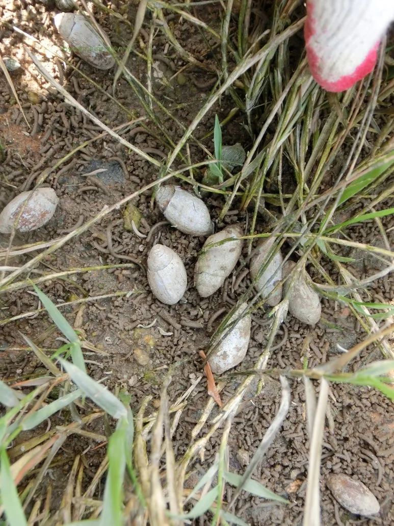 SE-b85bdd0e-2d05-4392-8f30-2c5ba411073f.jpg?type=w773