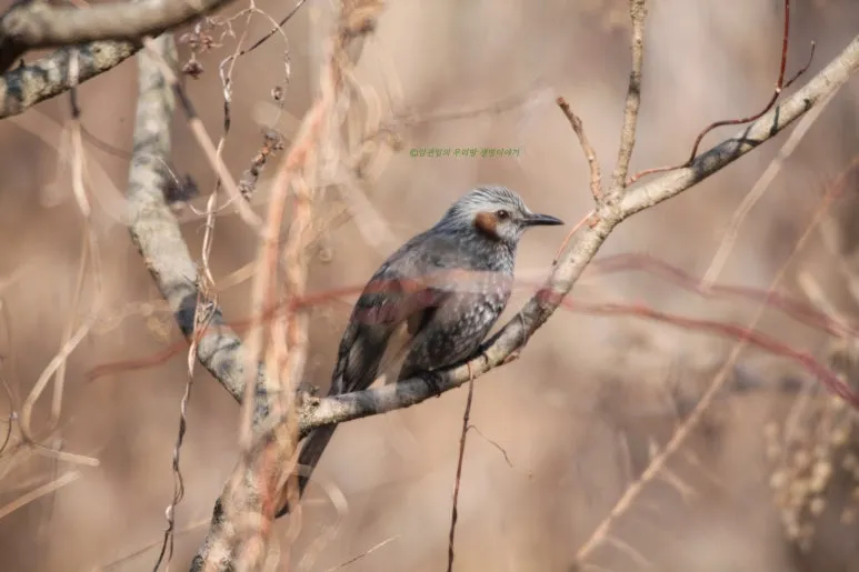 SE-14b51c7e-5906-47da-ae57-bc15608ac281.jpg?type=w773