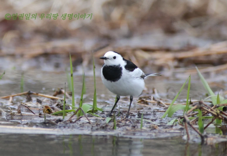 SE-dcccb507-3e68-4c86-b060-40edcb9050b2.png?type=w773