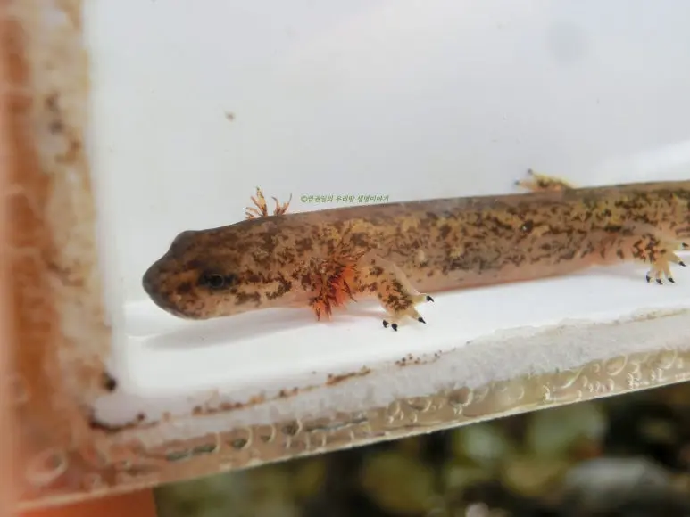 SE-8a4bb7c0-2cce-4a51-bfd3-86ffeacbd502.jpg?type=w773