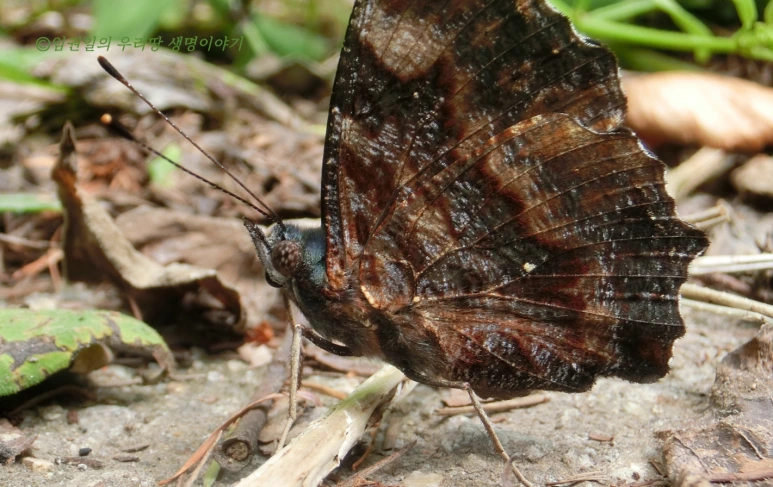 SE-32b6e044-3f6b-4ba5-aa05-7444eb4949ef.png?type=w773