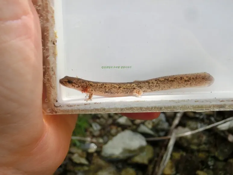 SE-0405233c-3213-468d-8128-824cba84b181.jpg?type=w773