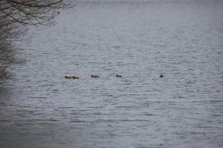 SE-c98189ee-274d-43ac-8b7c-68410c6f8414.jpg?type=w773