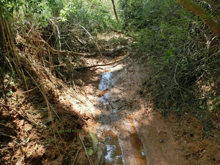 SE-58f83ab7-ba5d-4604-a04e-6d8b6c015f86.jpg?type=w773