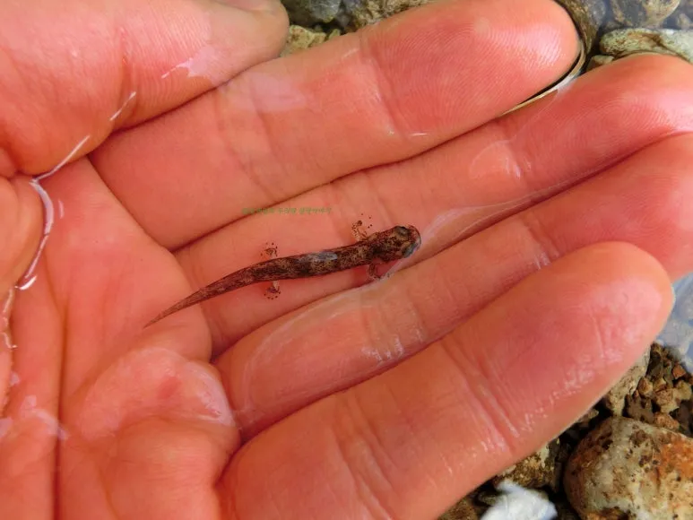 SE-db256d72-8598-494d-9b9b-d1c224a78dc3.jpg?type=w773