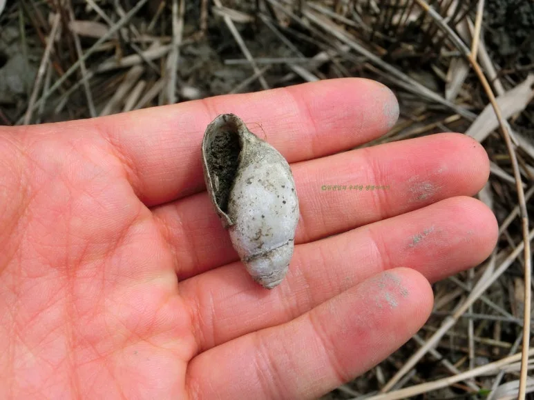 SE-9c7d7d8b-66cb-45fa-aa3c-f0d4904fa477.jpg?type=w773