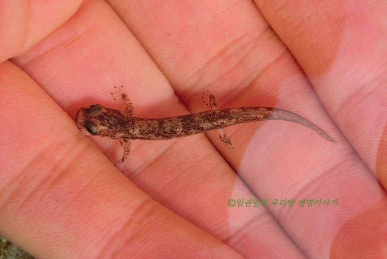 SE-df70032d-d98f-4dfb-a0c7-95e322f1f7d4.png?type=w773