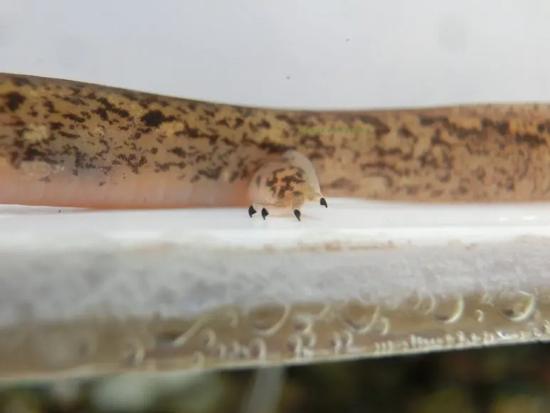 SE-6e26d54b-296d-407b-a42c-cb0aec4f90b2.jpg?type=w773