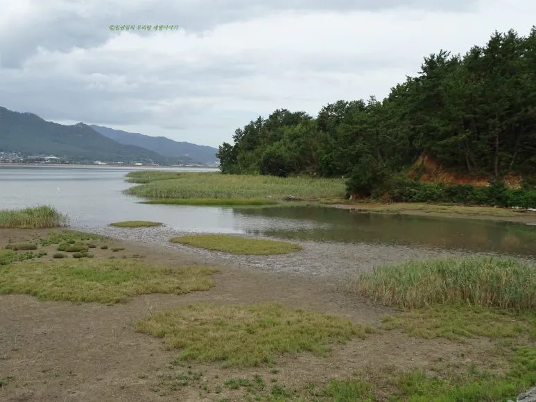 SE-bbf1fbf2-930b-4eef-8510-dc9e41725f73.jpg?type=w773