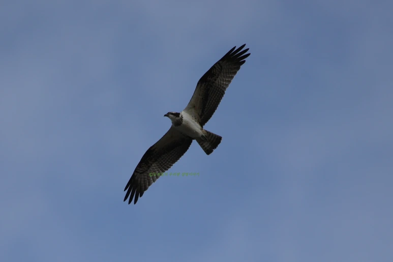 SE-c981c0bb-278f-4e9d-ab4a-46ed84c9b200.png?type=w773