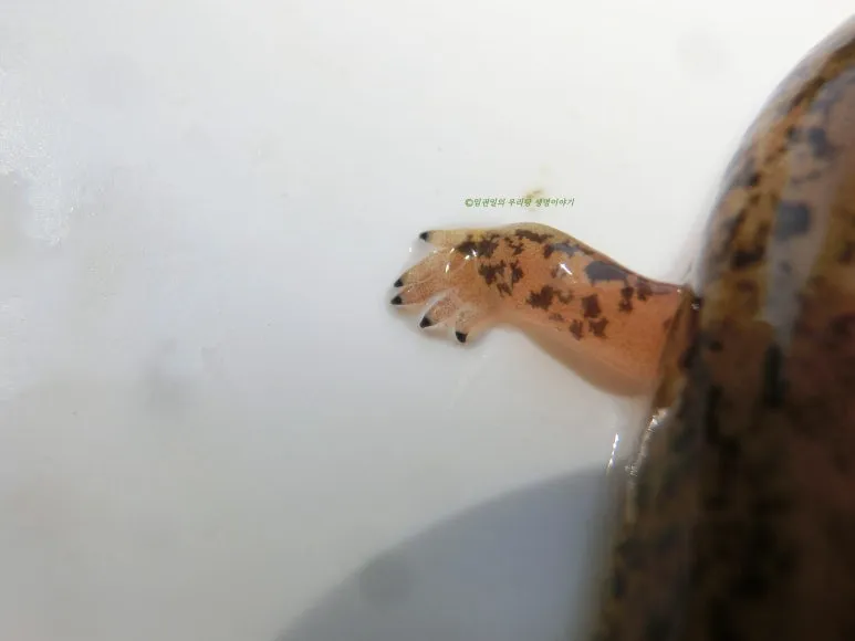 SE-bf43f3a3-0aba-4f21-abc6-e2ec25bdc08e.jpg?type=w773