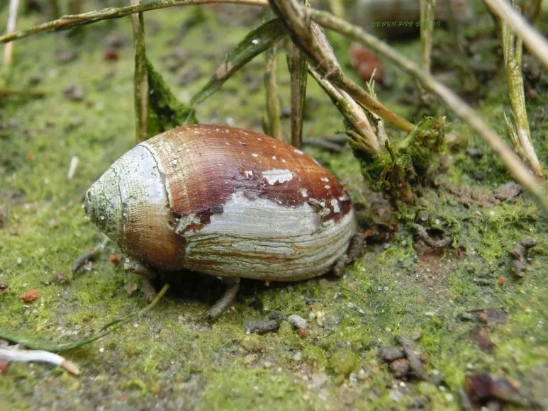 SE-bea9fe98-5130-43f4-b33f-ff9346005258.jpg?type=w773