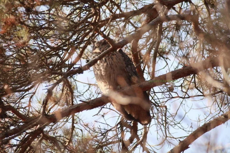 SE-344fab53-6d0f-4623-88b9-2380099707d2.jpg?type=w773