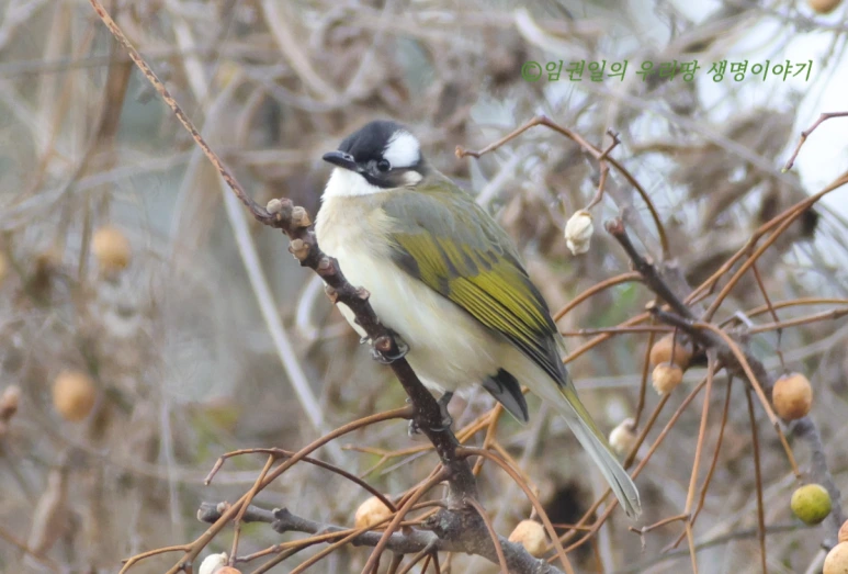 SE-fbc85e71-911a-499b-80ae-9b753f2e3f1b.png?type=w773