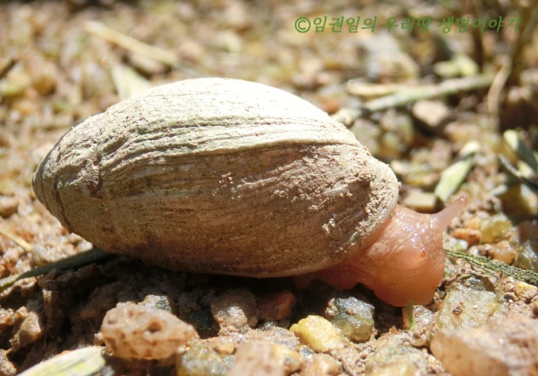 SE-06e75bfd-6df0-4194-92b5-0374f419a3e6.png?type=w773