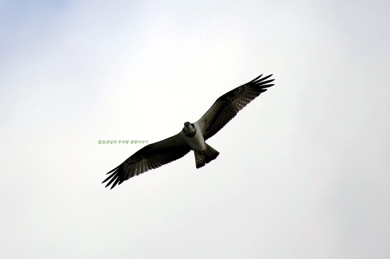 SE-afac9112-5bc7-4948-9c52-8d203e818b63.png?type=w773