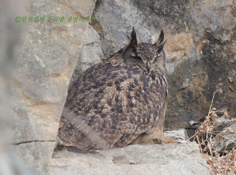 SE-90566450-535f-43d1-94ef-b523a051b119.png?type=w773