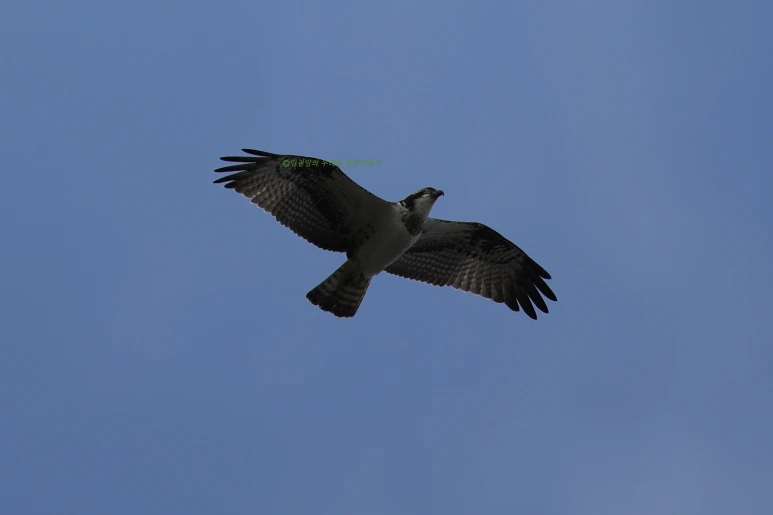 SE-5b0ed5ec-86a3-490f-a390-de9bec07714e.png?type=w773