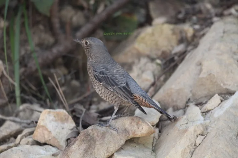 SE-9e5ab87f-4c6b-45c2-8fbb-ebd32de97d5a.jpg?type=w773