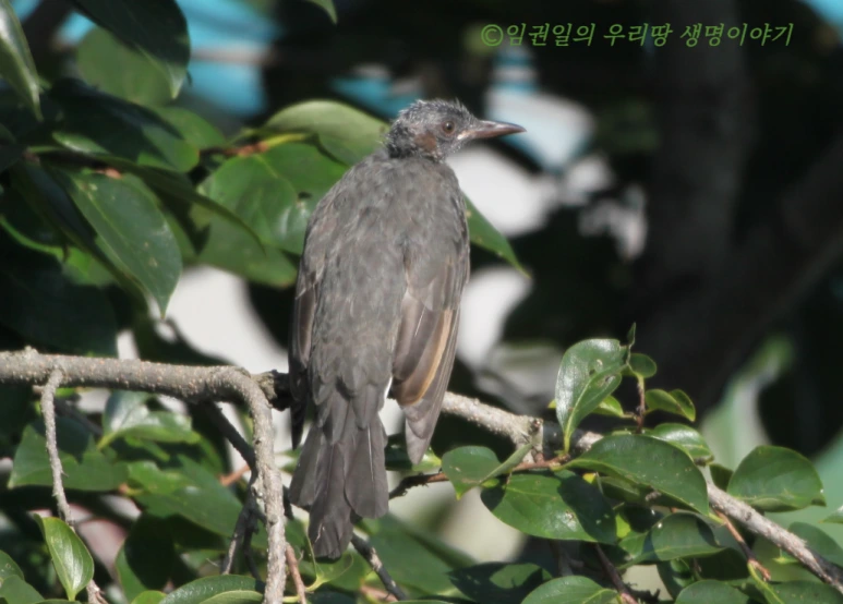 SE-9094f912-4c1a-43de-a9b1-44cef7b7d475.png?type=w773