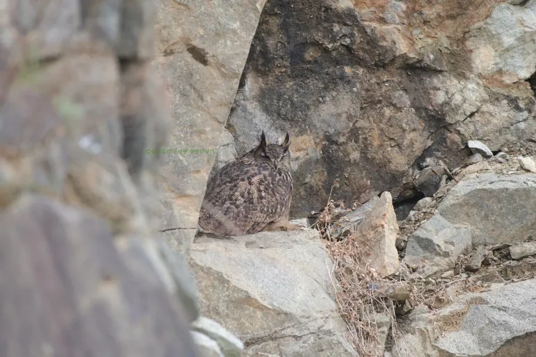 SE-b77dac22-6dd7-4d4e-b7c3-b408295297b5.jpg?type=w773