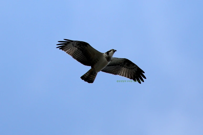 SE-7e140dec-0eda-4ba3-8c97-6b10ac073041.png?type=w773