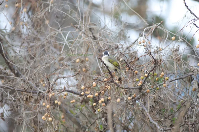 SE-e9b4e04e-5f1b-4a78-8713-b50fdd4bb09e.jpg?type=w773