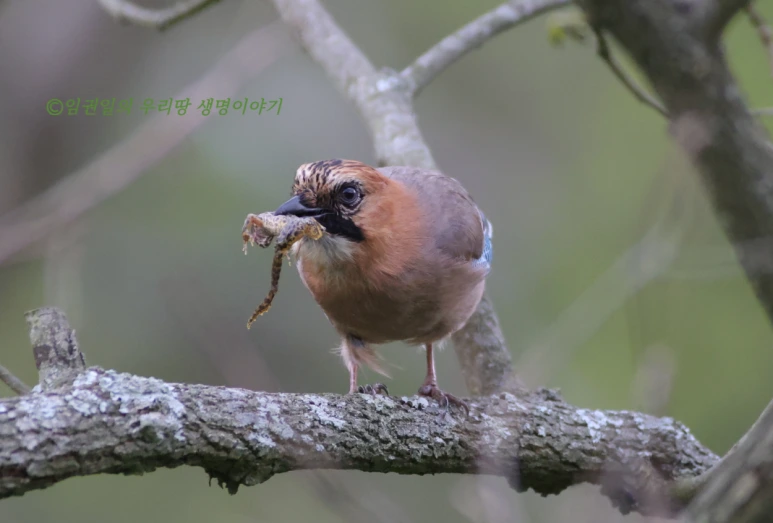 SE-309751c8-a0f2-466f-b815-48f8db0ed92b.png?type=w773