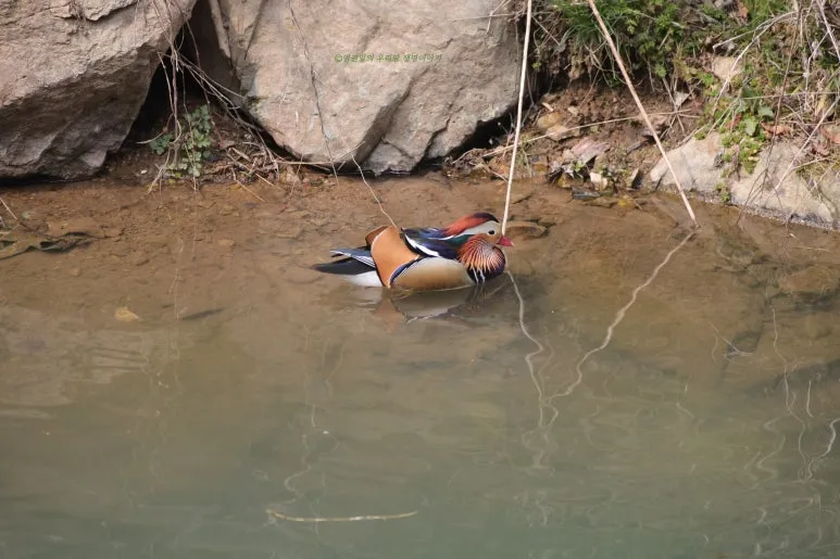 SE-c8caa9e4-ebe3-4d31-89d7-8fb5702827ea.jpg?type=w773