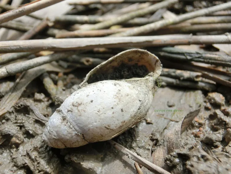 SE-e5e70682-6edc-4b1f-a8ef-324665eaf381.jpg?type=w773