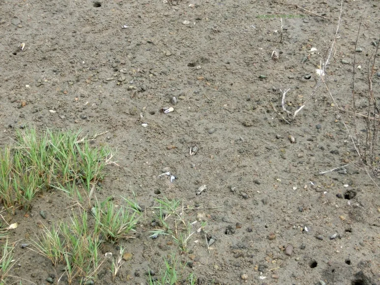 SE-ea4b3a96-fb0b-41b5-a888-c38ecde46c9e.jpg?type=w773