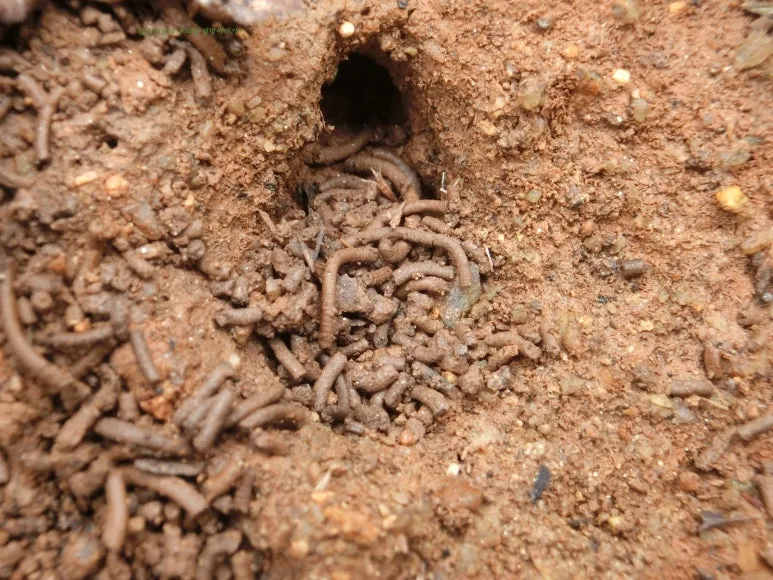 SE-d1a0ea88-9133-4552-b656-c55f5a47eebd.jpg?type=w773