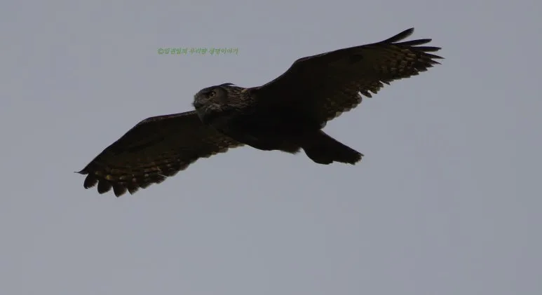 SE-6c5777b6-bb38-44ee-a62d-80ed48f81f8c.jpg?type=w773