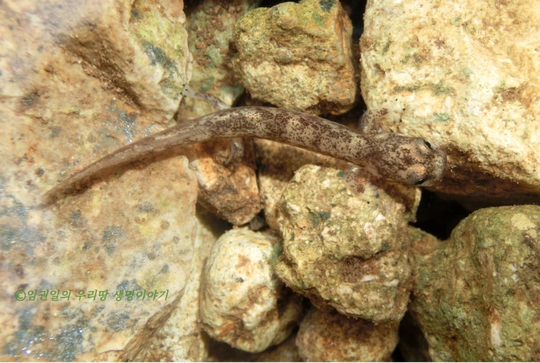 SE-043952bd-058f-420f-9807-ad6e124722a3.png?type=w773