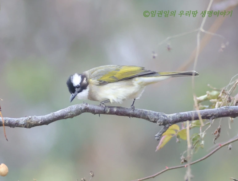 SE-370e446b-7679-4839-a0bf-b8a84199f892.png?type=w773