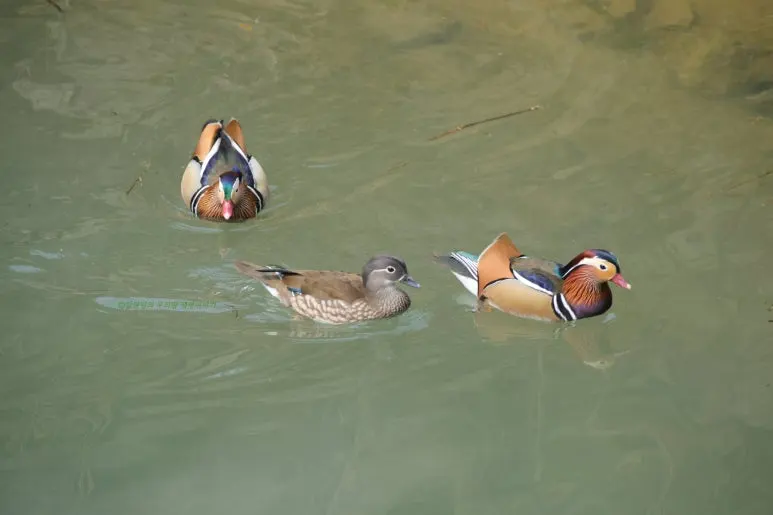 SE-735963a6-b4e5-4f85-8130-cb409e4b3a80.jpg?type=w773