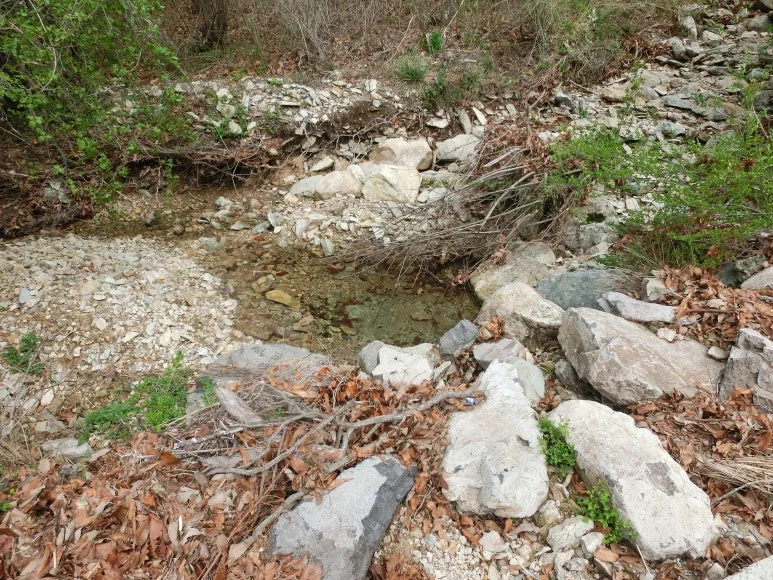 SE-bf70afa6-7619-4109-a74a-cf30bae4438c.jpg?type=w773