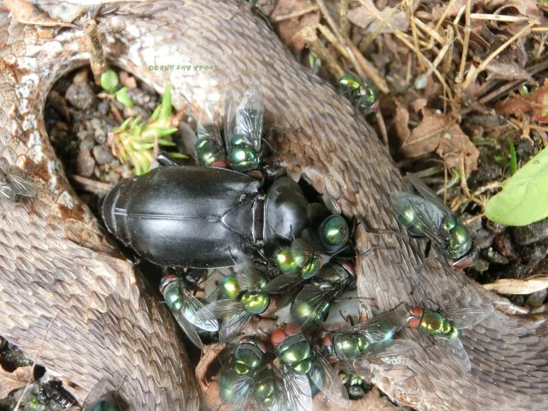 SE-af1fbf00-0b49-4cac-a1bf-c79ccfaedaa8.jpg?type=w773