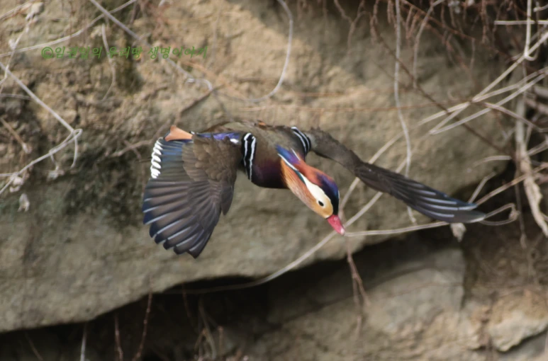 SE-3954d956-a237-4790-b287-c59cde831d2a.png?type=w773