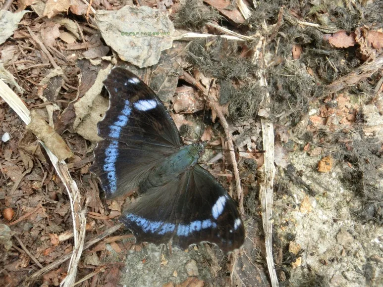 SE-33b6ca1e-de1a-429c-9270-75f2ff5eed43.jpg?type=w773