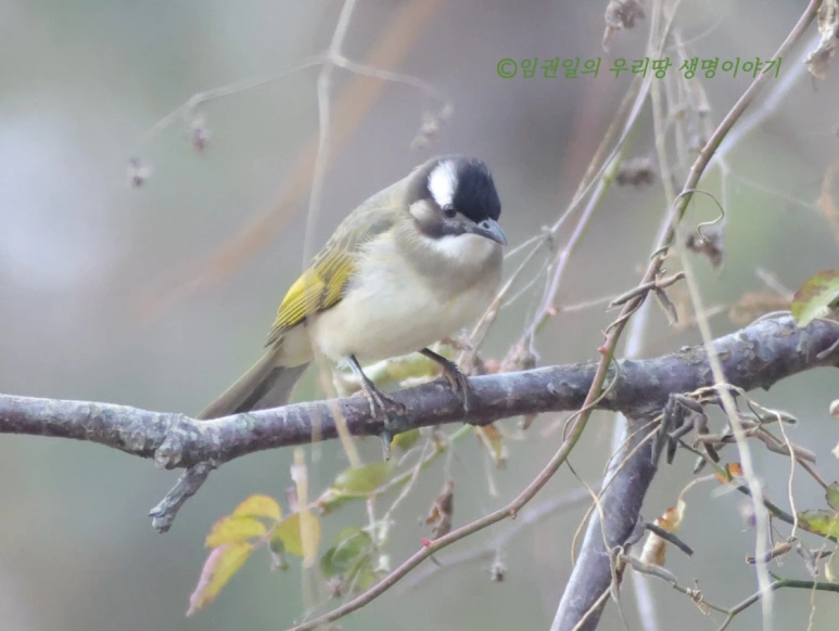 SE-96a0b7c4-5b77-41bd-9723-78a9fe6e26ba.png?type=w773